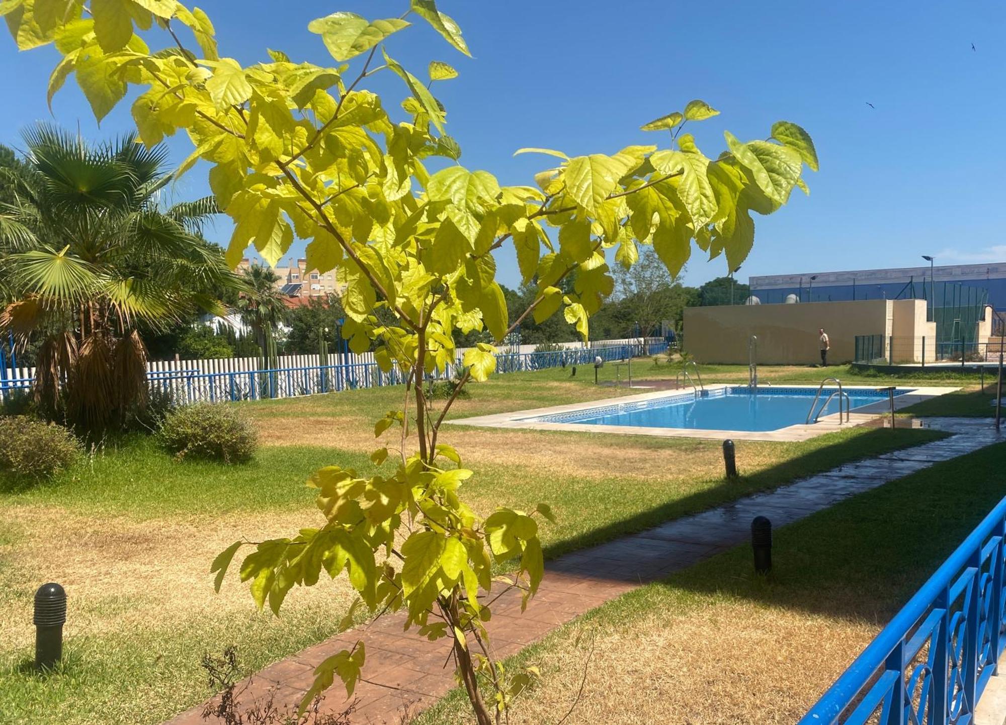 Fibes Apartamento Con Piscina Y Parking Gratis Севилья Экстерьер фото